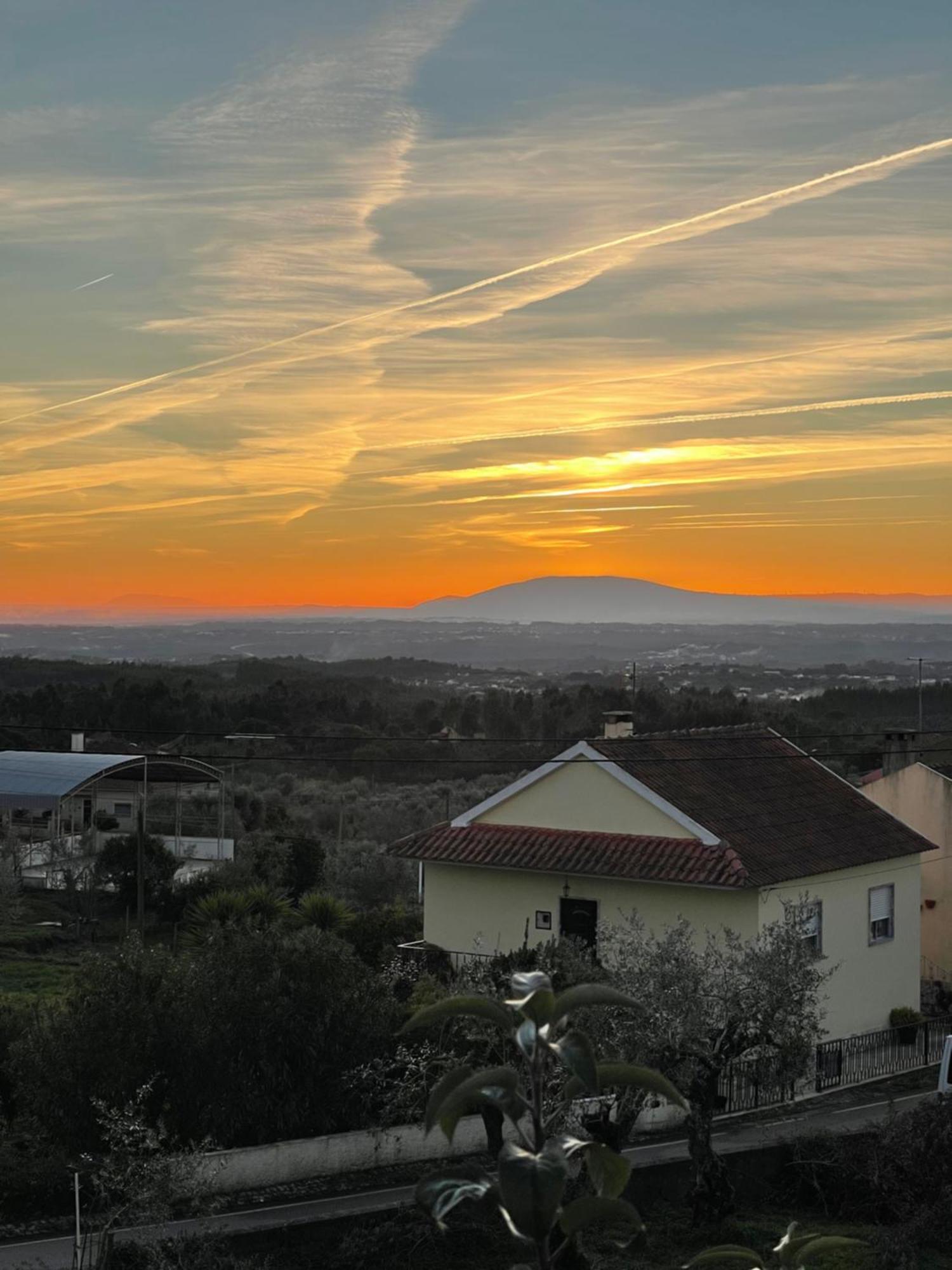 Quinta Jose&Maria Quartos Ferreira do Zêzere מראה חיצוני תמונה